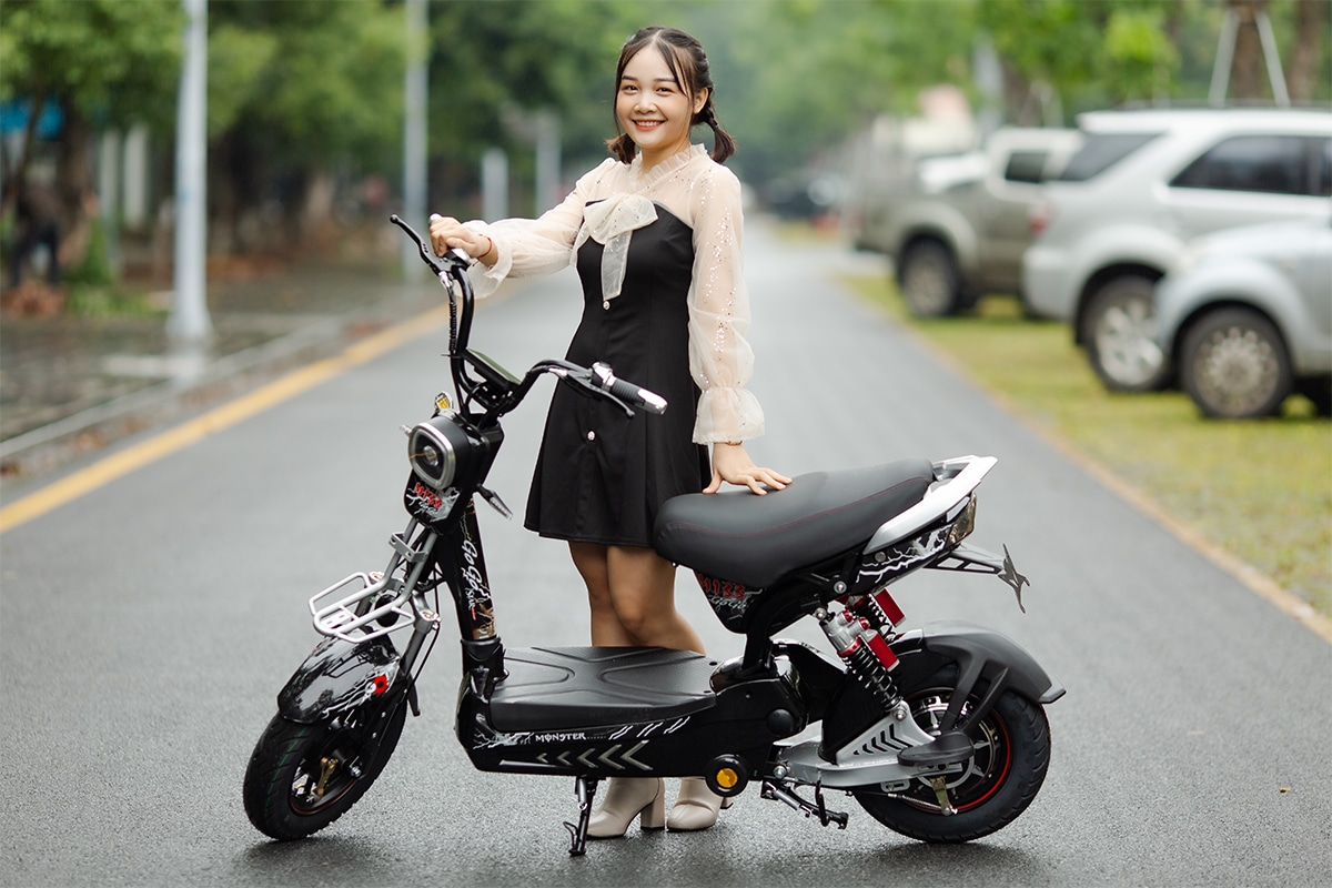 Xe-dien-12-A-133s-den-vuong3